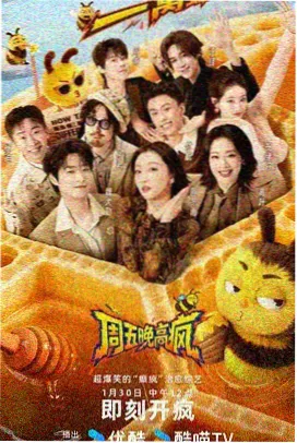 一起去露营吧综艺全集
